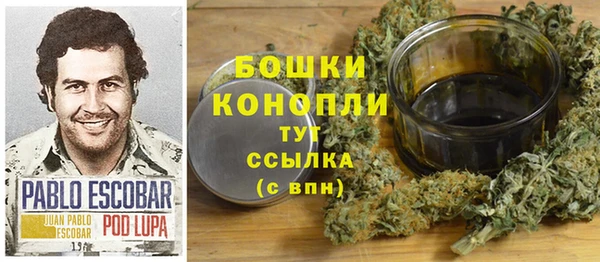 дмт Кинешма
