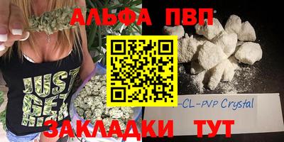крисы Шебекино