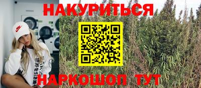 крисы Шебекино