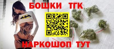 крисы Шебекино