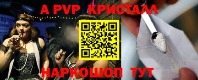 крисы Шебекино