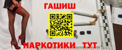 крисы Шебекино