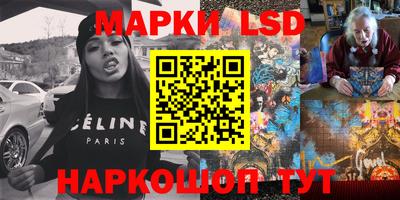 крисы Шебекино