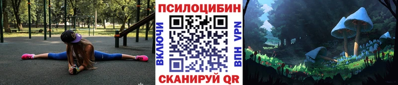 нарко площадка официальный сайт  магазин    Черногорск  Галлюциногенные грибы Magic Shrooms 
