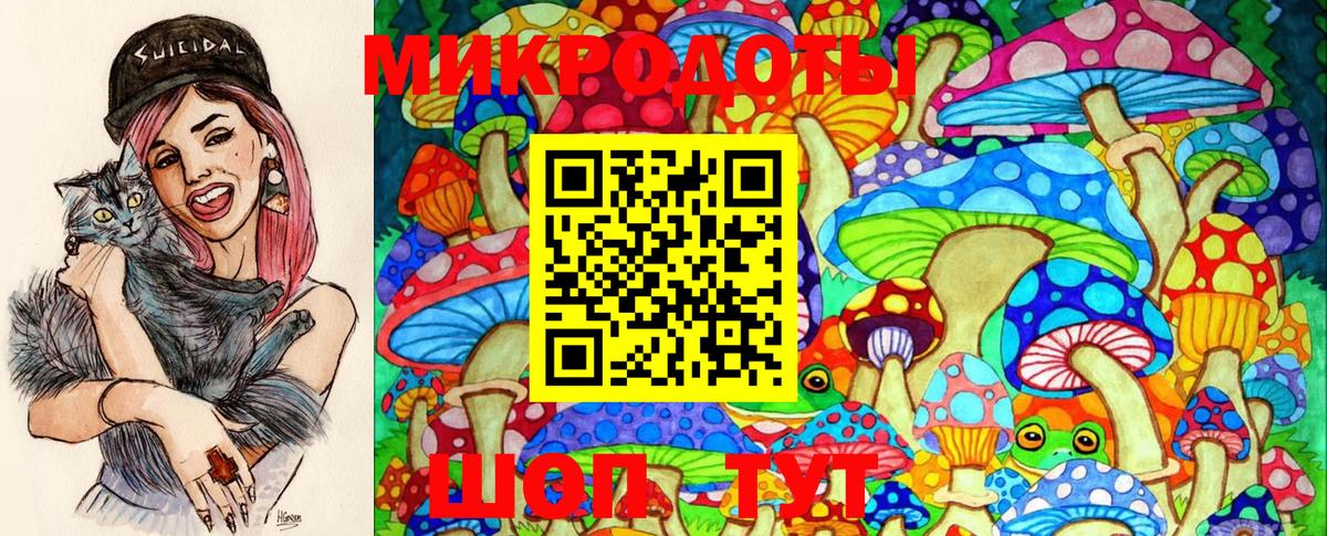 Галлюциногенные грибы GOLDEN TEACHER Черногорск