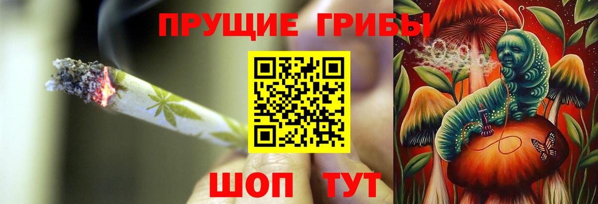 купить наркотик  Псилоцибиновые грибы Psilocybe  Черногорск  Вход с VPN  Псилоцибиновые грибы Psilocybe 